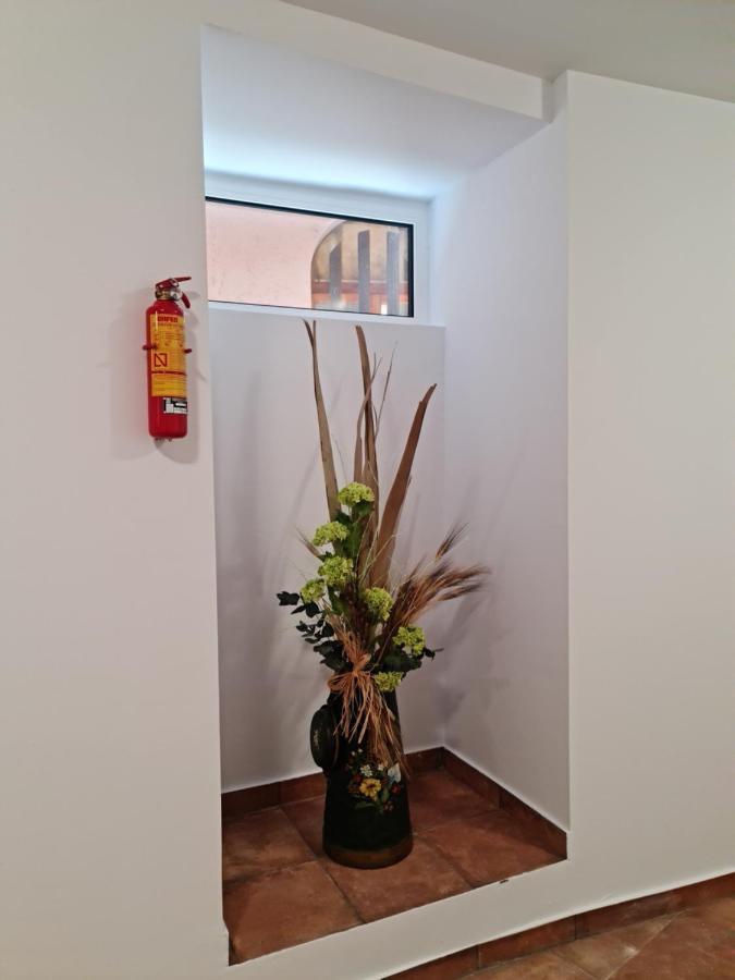Ca La Maria Apartamento La Seu d'Urgell Exterior foto