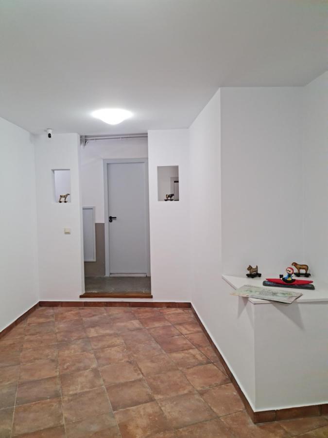 Ca La Maria Apartamento La Seu d'Urgell Exterior foto